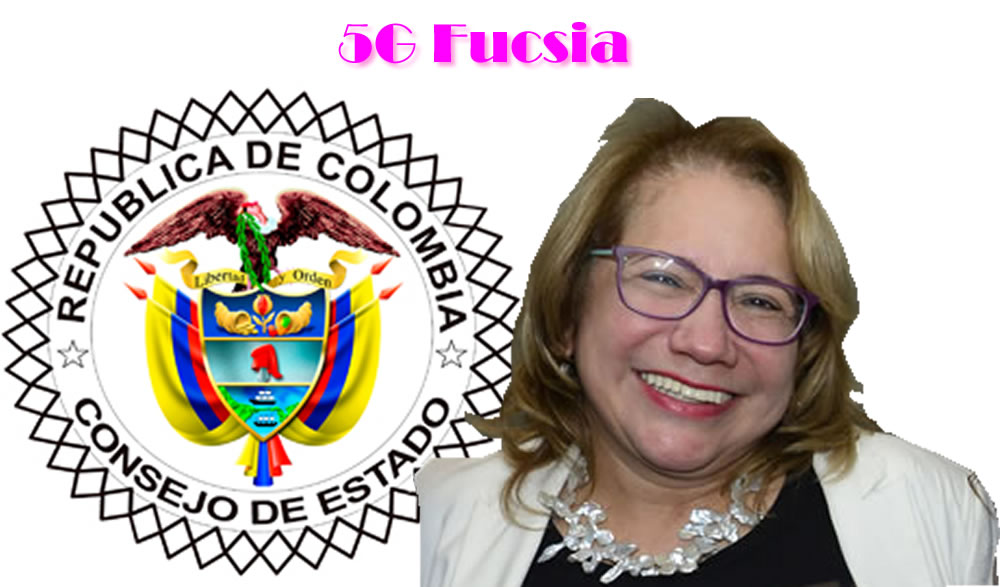 5G Fucsia  Solmarina de la Rosa es conjuez del Consejo de Estado