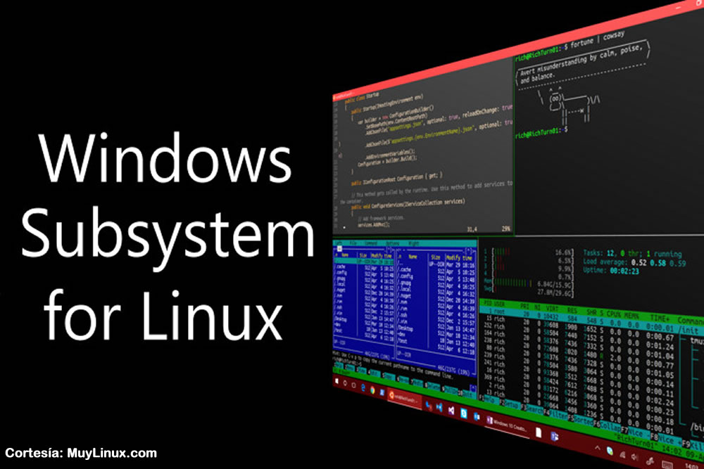 El ncleo de Windows 2 WSL para Linux ya est escrito en la versin 4.19 de Linux
