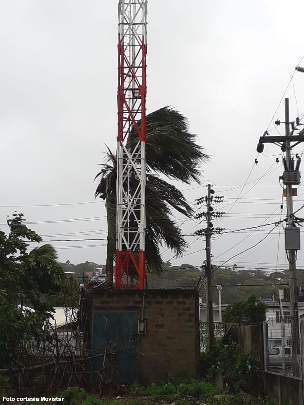 Movistar restablece 82% de la telefonía fija y el 50 de la móvil en San Andrés 