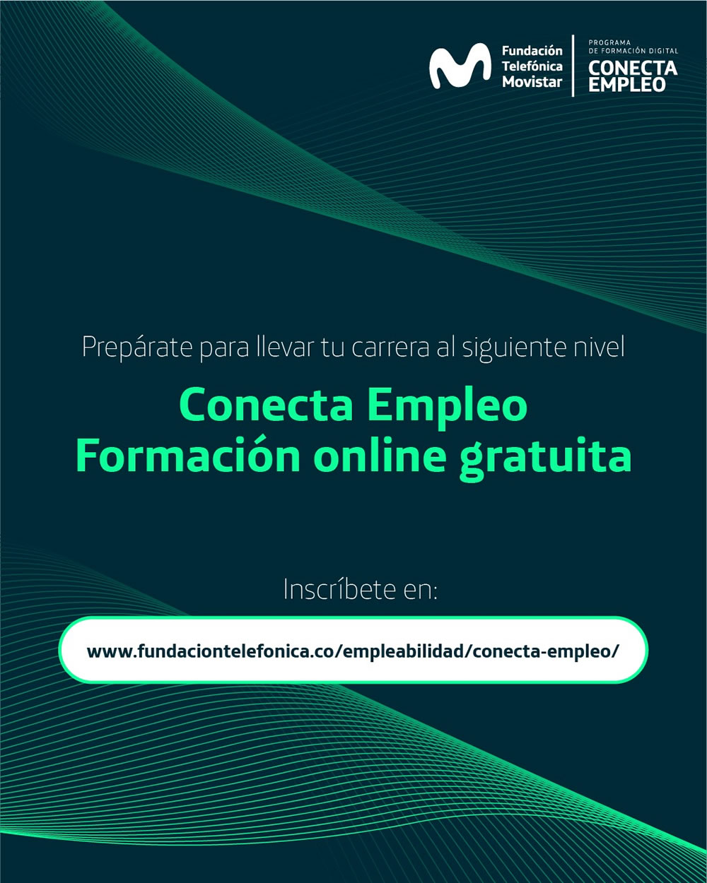 Fundación Telefónica Movistar ofrece 21 cursos gratuitos para habilidades digitales 